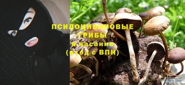 гашик Балахна