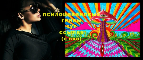 гашик Балахна