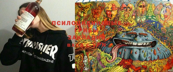 гашик Балахна