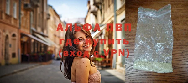гашик Балахна