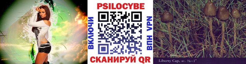 Галлюциногенные грибы Psilocybine cubensis закладки Белово